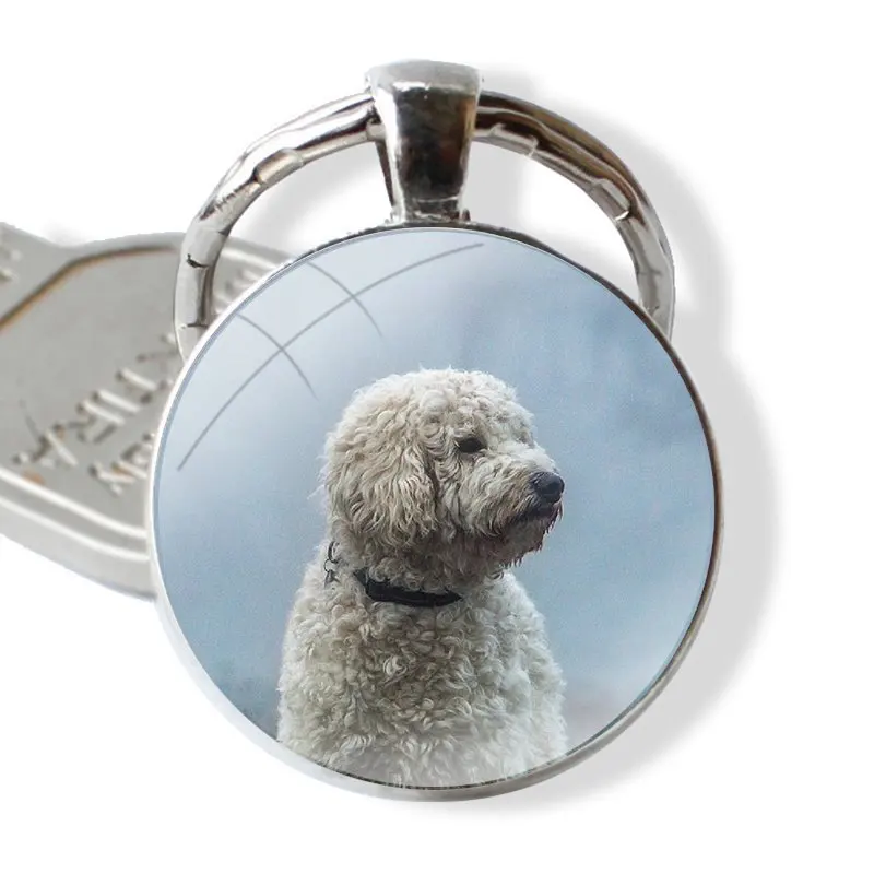 Keychain Glass Cabochon Metal Pendant Classic Men's Women's Keyring Animal Bichon frise dog