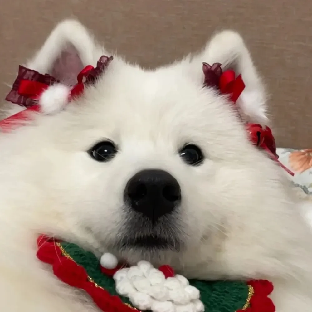 Автомобильный вакуумный магнитный держатель для телефона, портативная складная вращающаяся подставка на присоске для Haval H6 Jolion Dargo Chulian M2 M4 M6 H9 H4