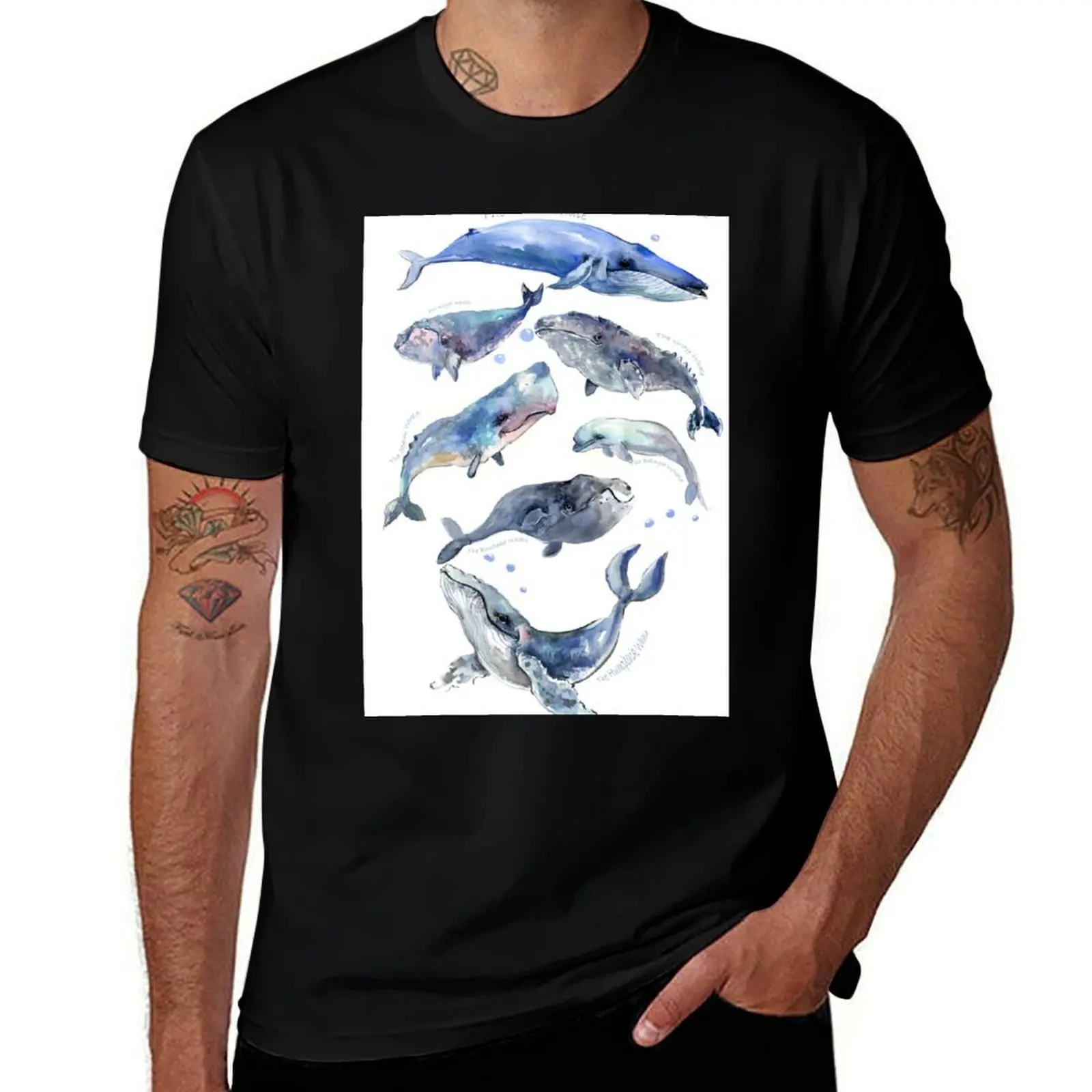 Футболка Whale ?ollection, спортивная базовая футболка с коротким рукавом