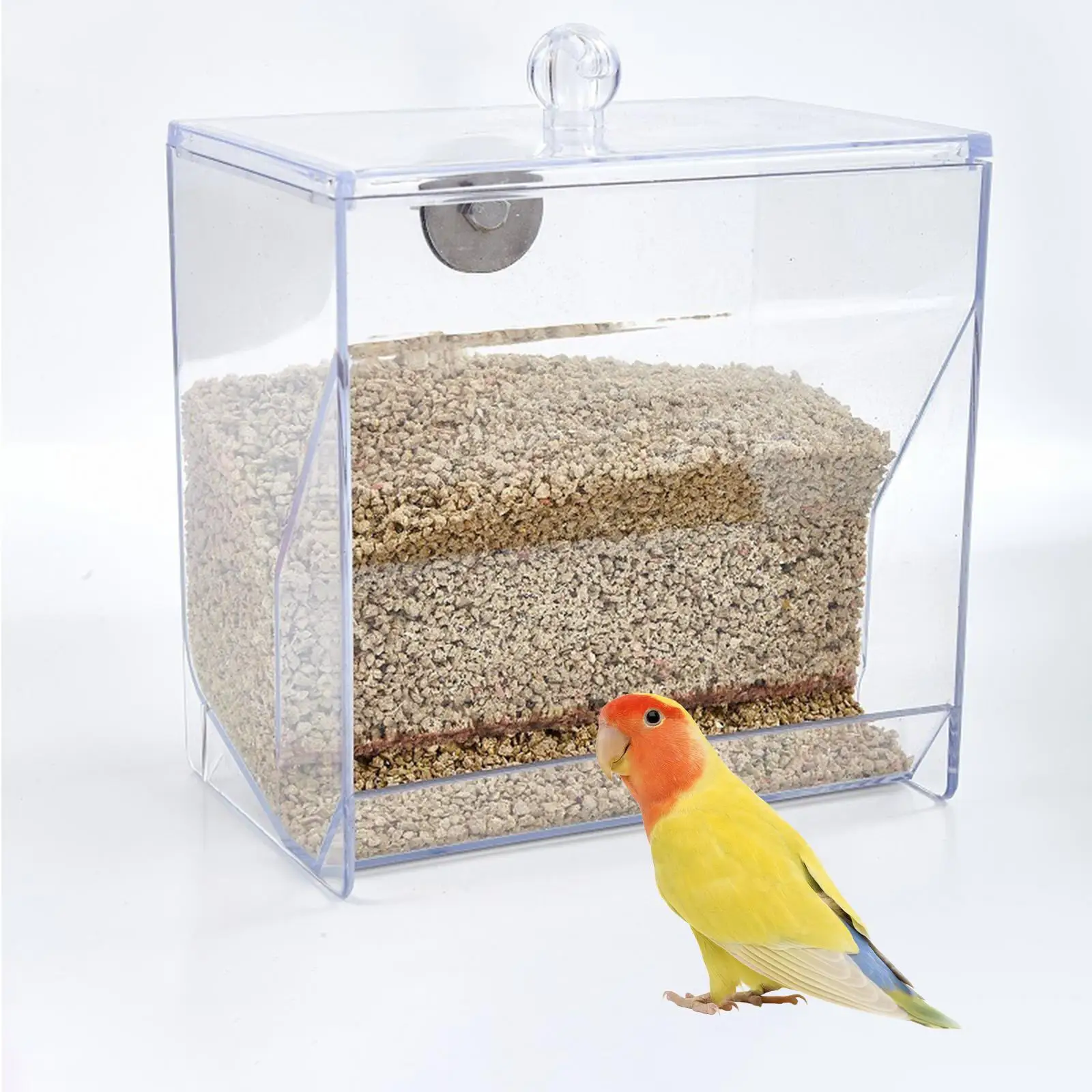 Automatic Bird Feeder Cage Foods Container Portable Clear Bird Feeder for Cockatiels Parrots Canaries Cage Accessories Budgies