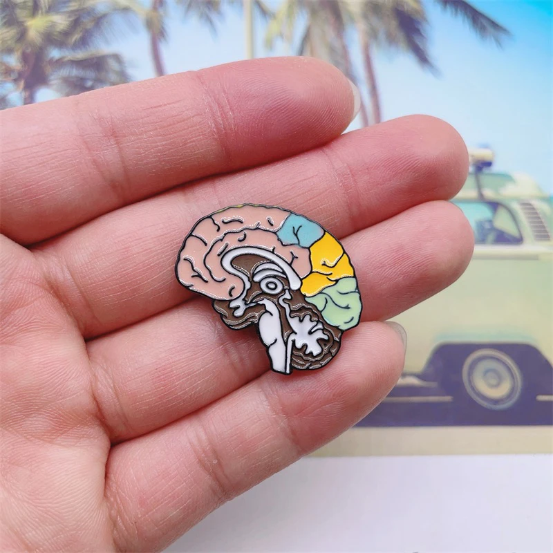 Creative Colored Organs Brain Enamel Pins Thinking Brain Funny Alloy brooch Badge Personality Jewelry Gift For Friends