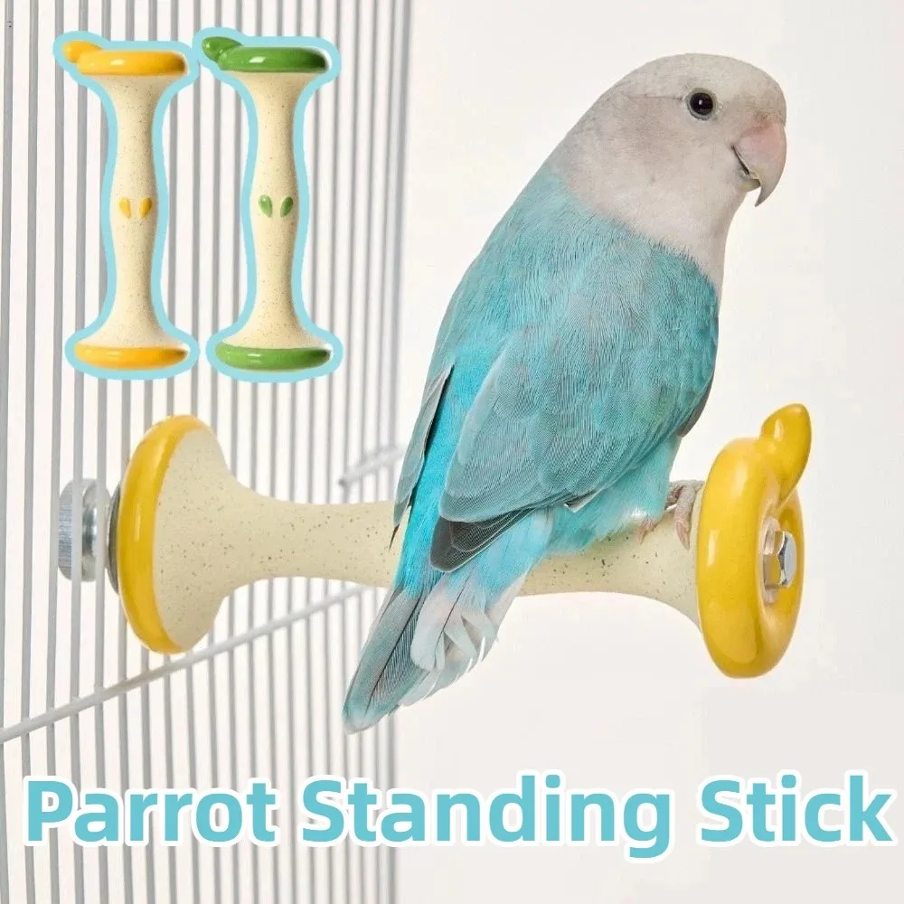 Creative Parrot Sta…