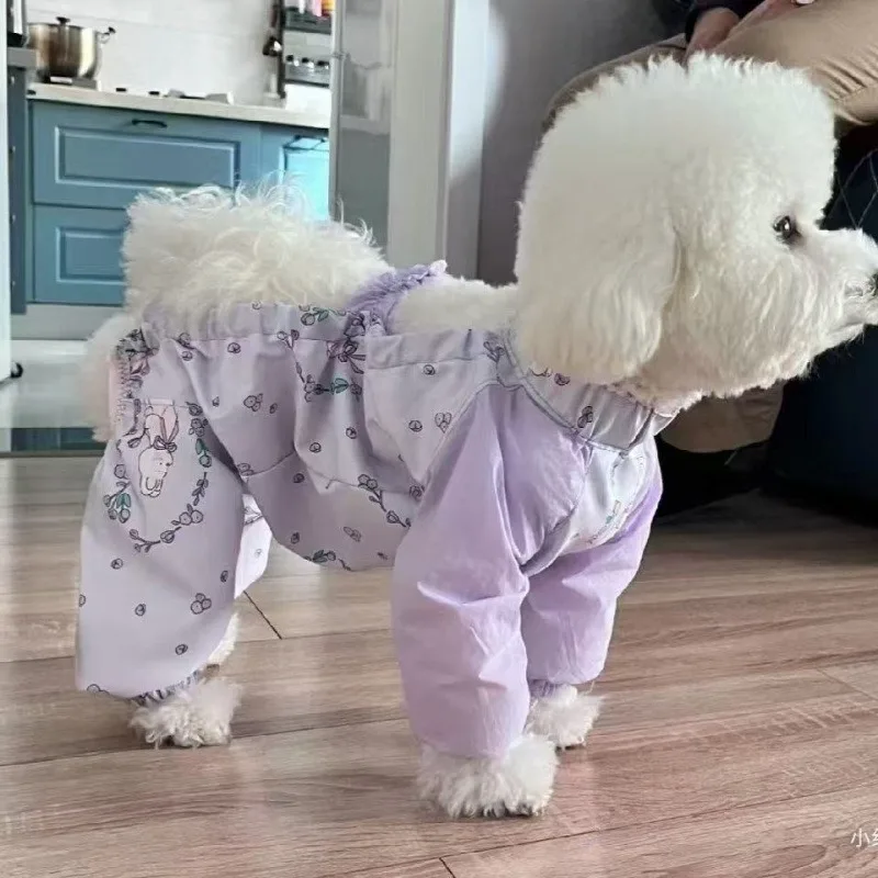 Dustproof Pants for Dogs: The Ultimate Guide to Protecting Your Pet in Dry, Dirty Conditions