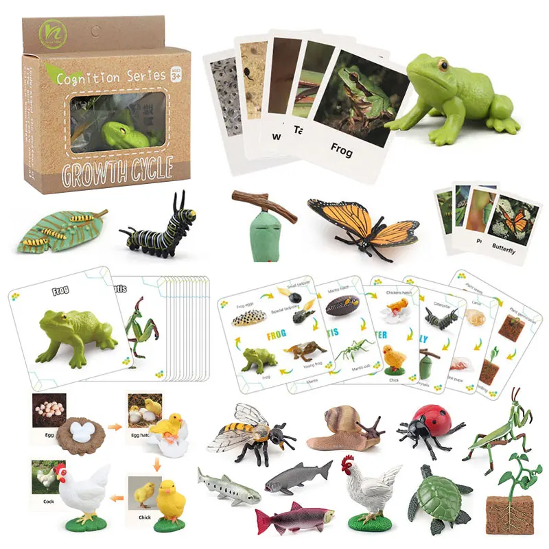 Kids Simulated Animal Model Card Set Educational Toys Insect Plant Growth Cycle Cognitive Montessori Parish Home Open Learning