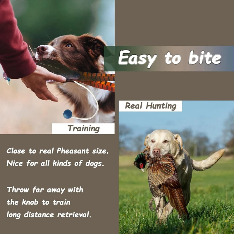 Pet simulation toy 2 Pcs Pheasant Dummy Bumper Toy for Hunting Retriever Dog Training,