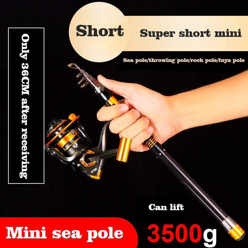 スピニングジグペスカ-equipamentos-canne-a-peche-carbonne-leurre-旅行鯉釣り機器伸縮ロッドとリール海キット