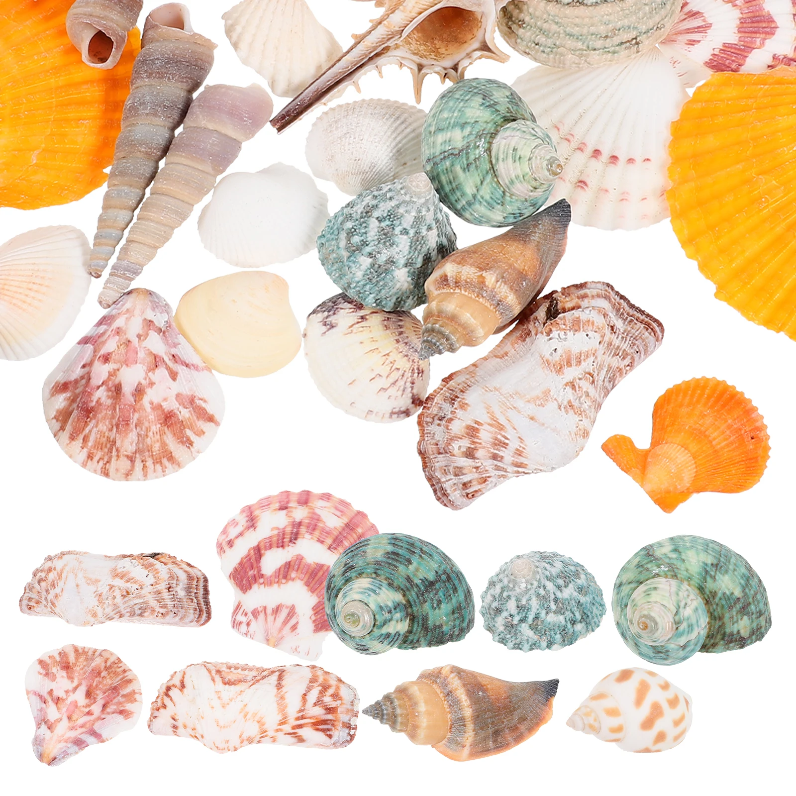 

Natural Shell Fish Tank Ornaments Set For Aquarium Decoration Mixed Patterns Diy Landscaping Conch Decor Home Gift