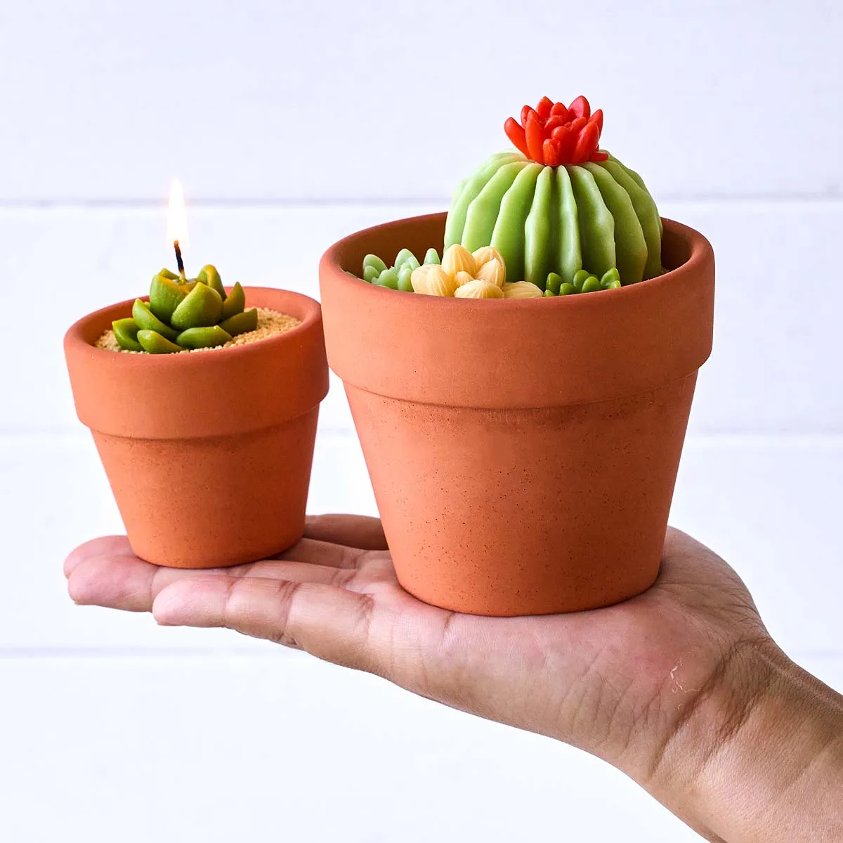 3D Nordic Candle Jar Silicone Mold DIY Cactus Succulent Potted Clay Molds Plaster Concrete Resin Storage Box Craft Decor Making