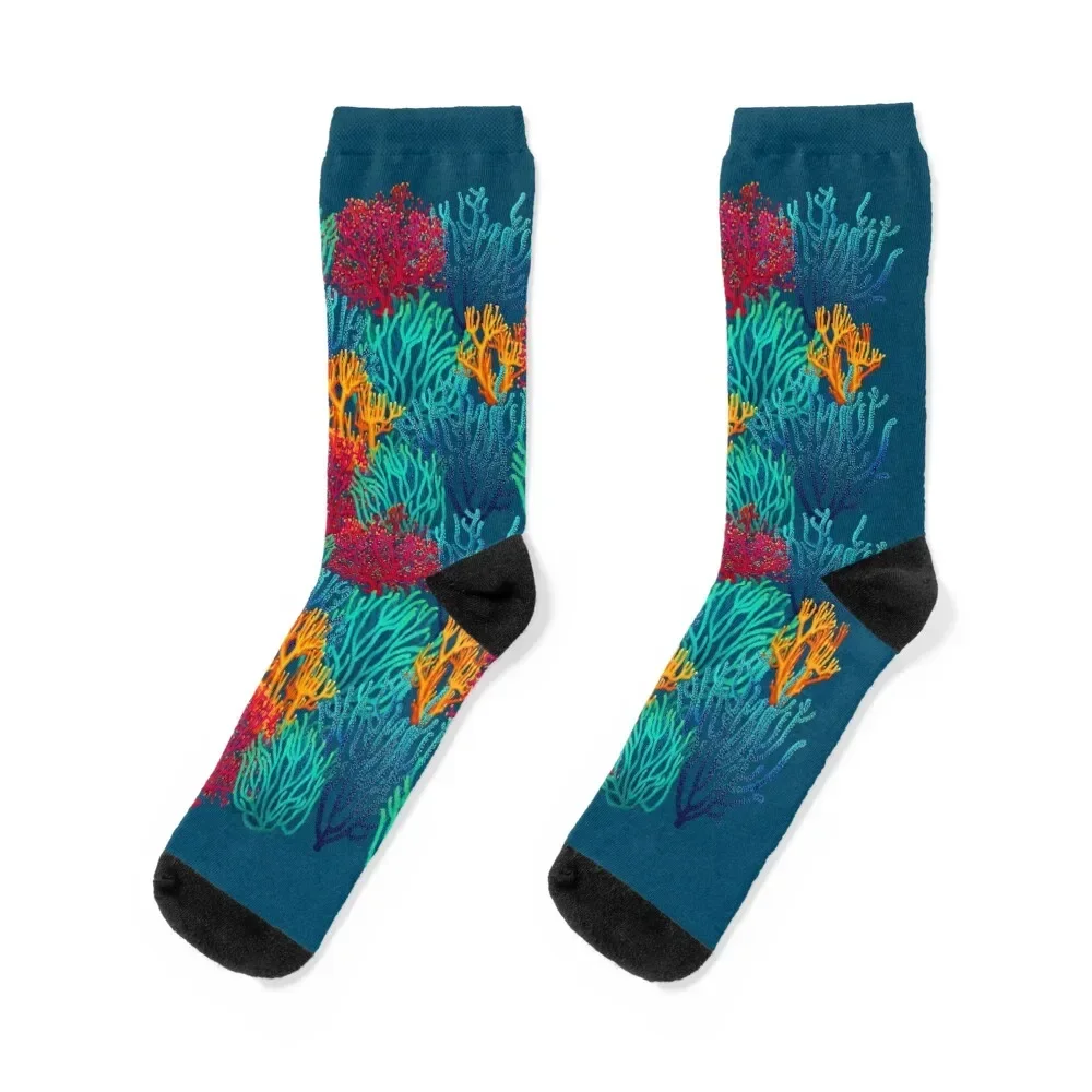 

Corals Socks cotton tennis designer brand sports stockings Socks Man Women's