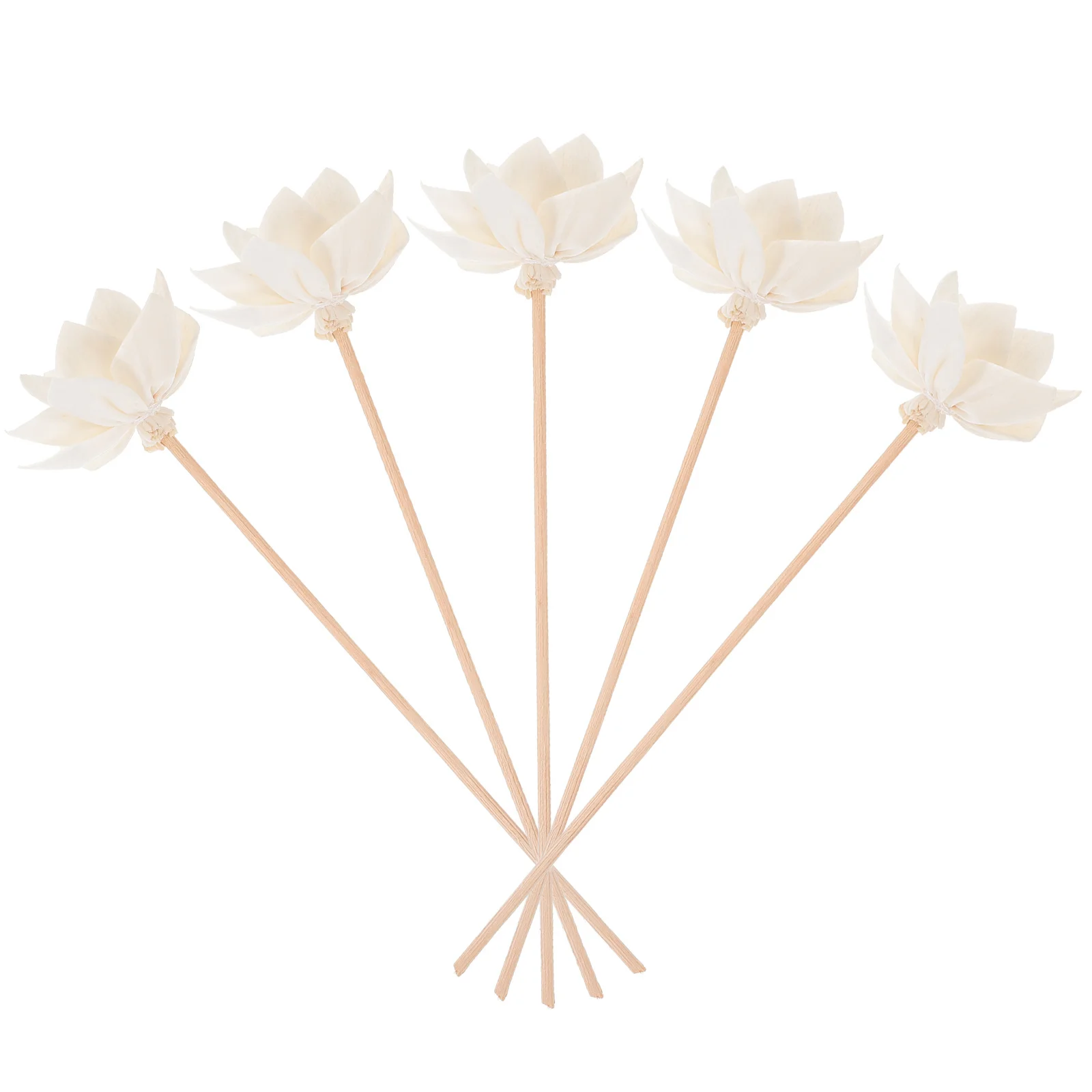 10Pcs Essential Oil Diffuser Sticks Dried Flower Rattan Reed Simple Generous DIY Favorite Fragrance Home Office Use