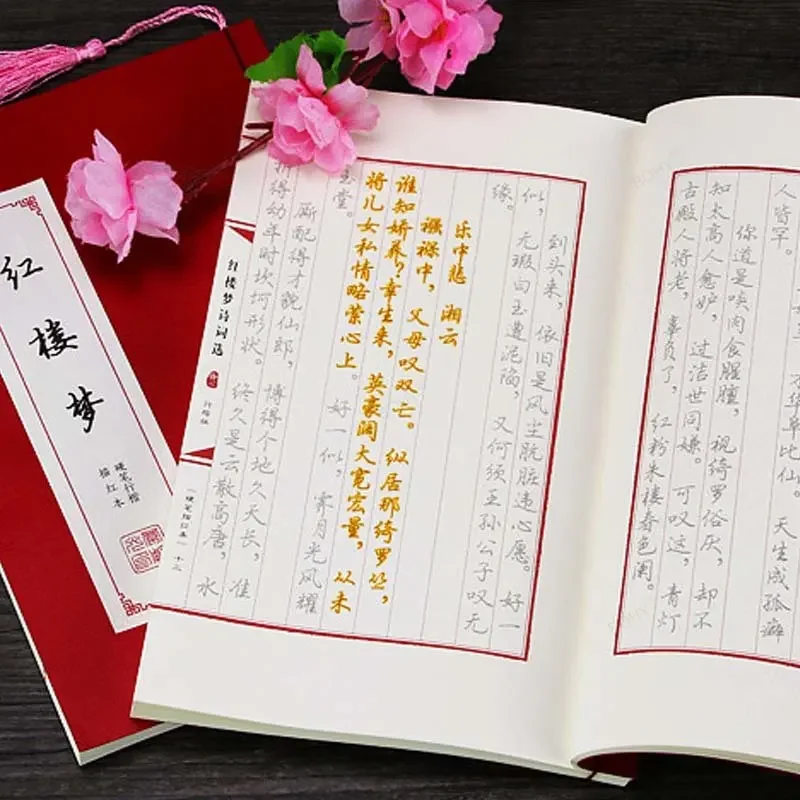 Handwriting Regular Script Calligraphy Ancient Literature Copybook for Adult Mind Calming Book