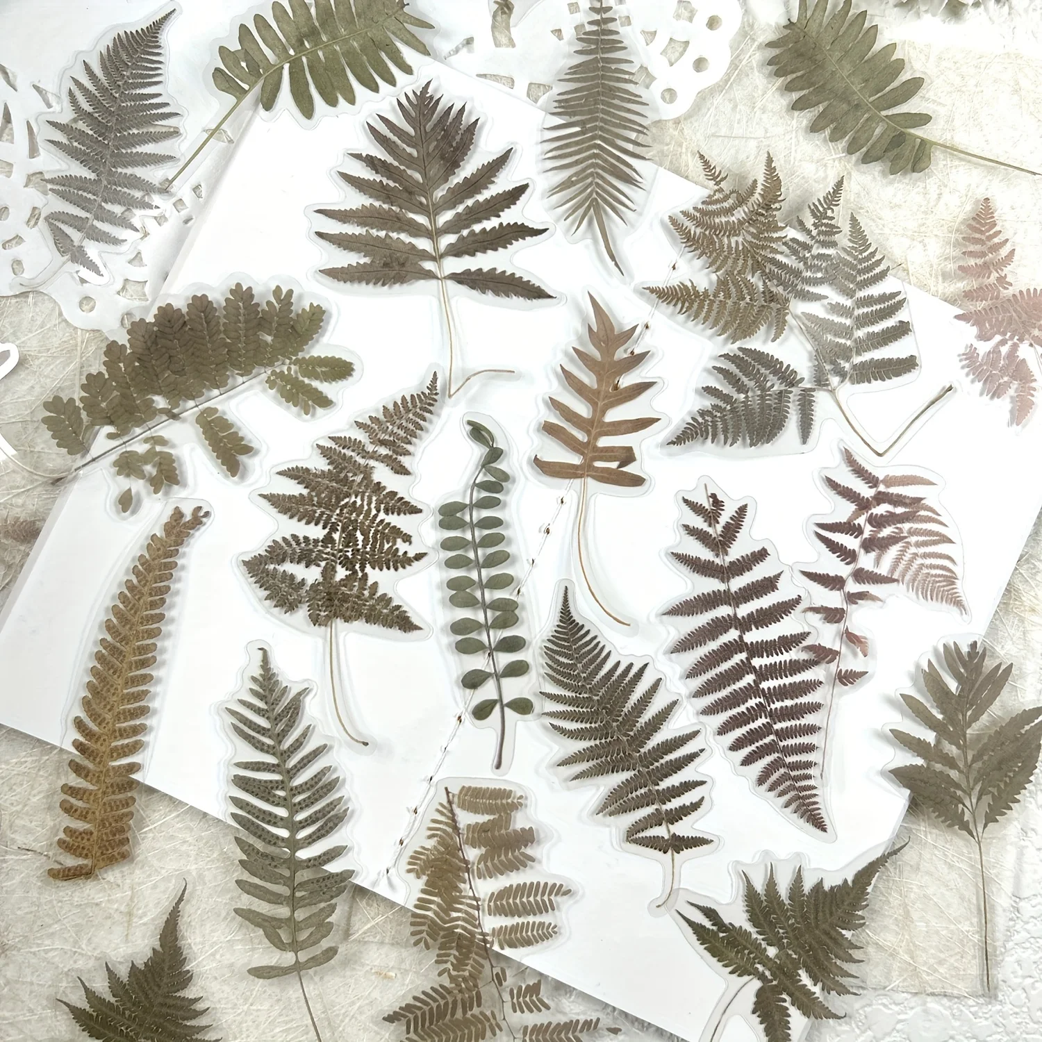 A Pack Of 40 Vintage Fern Leaf PET Stickers For Journal DIY Collage, Scrapbooking, And Photo Album Decoration