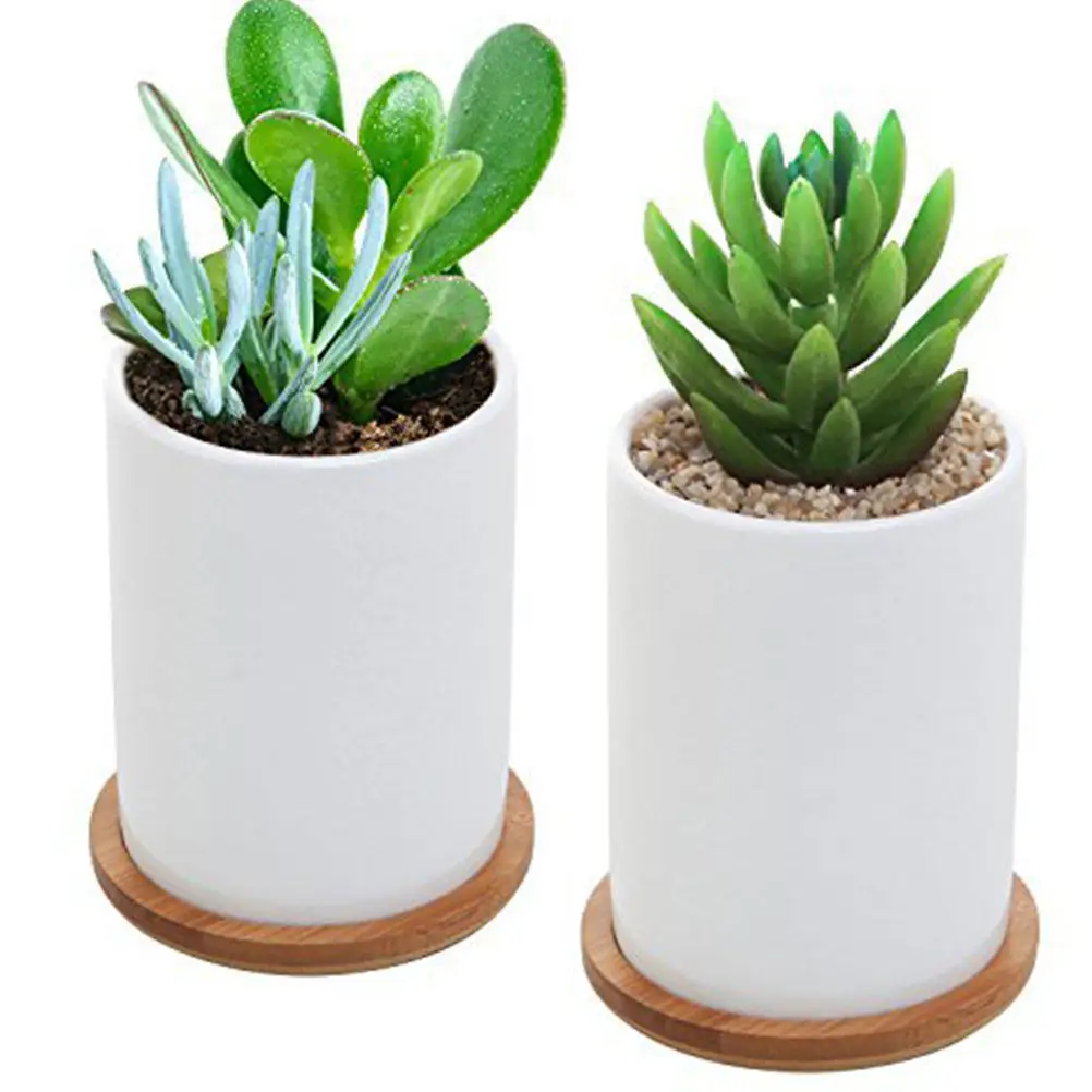 6Pcs Bamboo Succulent Flowerpot Tray Set 6.3x1cm Modern Minimalist Decorative Plant Pot Holder for Home Kitchen Office Bathroom