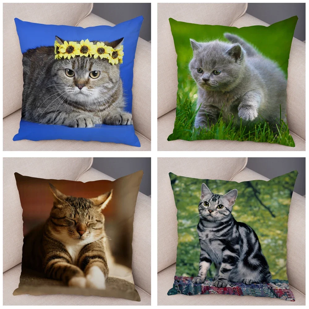 Cute Pet Animal Print Pillowcase Funny  Cat  Decoration Car Sofa Home Cushion Cover