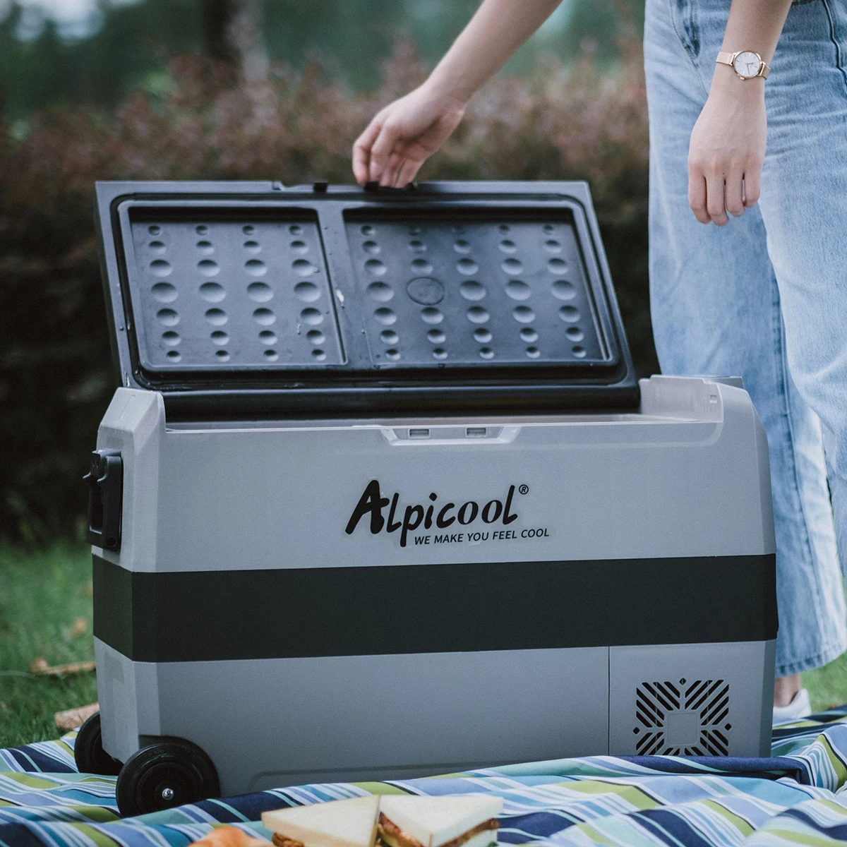 Alpicool 60L T60 DC 12v/24v Portable Compressor Deep Freezer Car