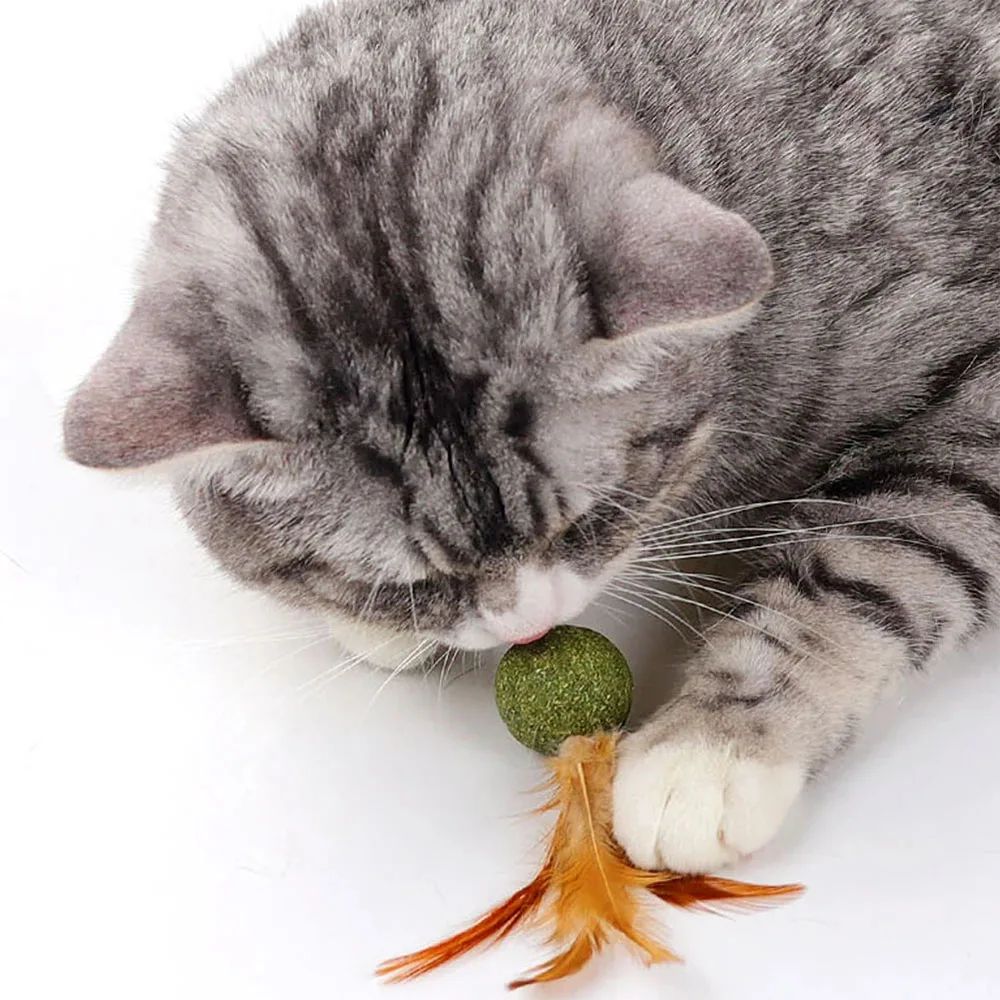 Cat Mint Ball Feather Catnip Ball Self Cleaning Teeth Grinding Ball Feather Toy Ball Pet Toys Cat Supplies Pet Cleaning Tool view 5