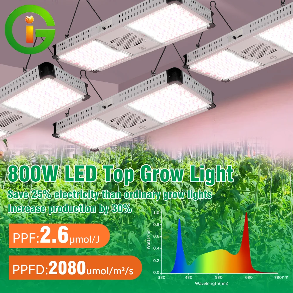 LED TOP Grow Light Quantum Tech Board Vollspektrum 3030 3535 Chips Gänseblümchenkette IP55 Wasserdichte VEG-Pflanzenlampe für den Innenbereich