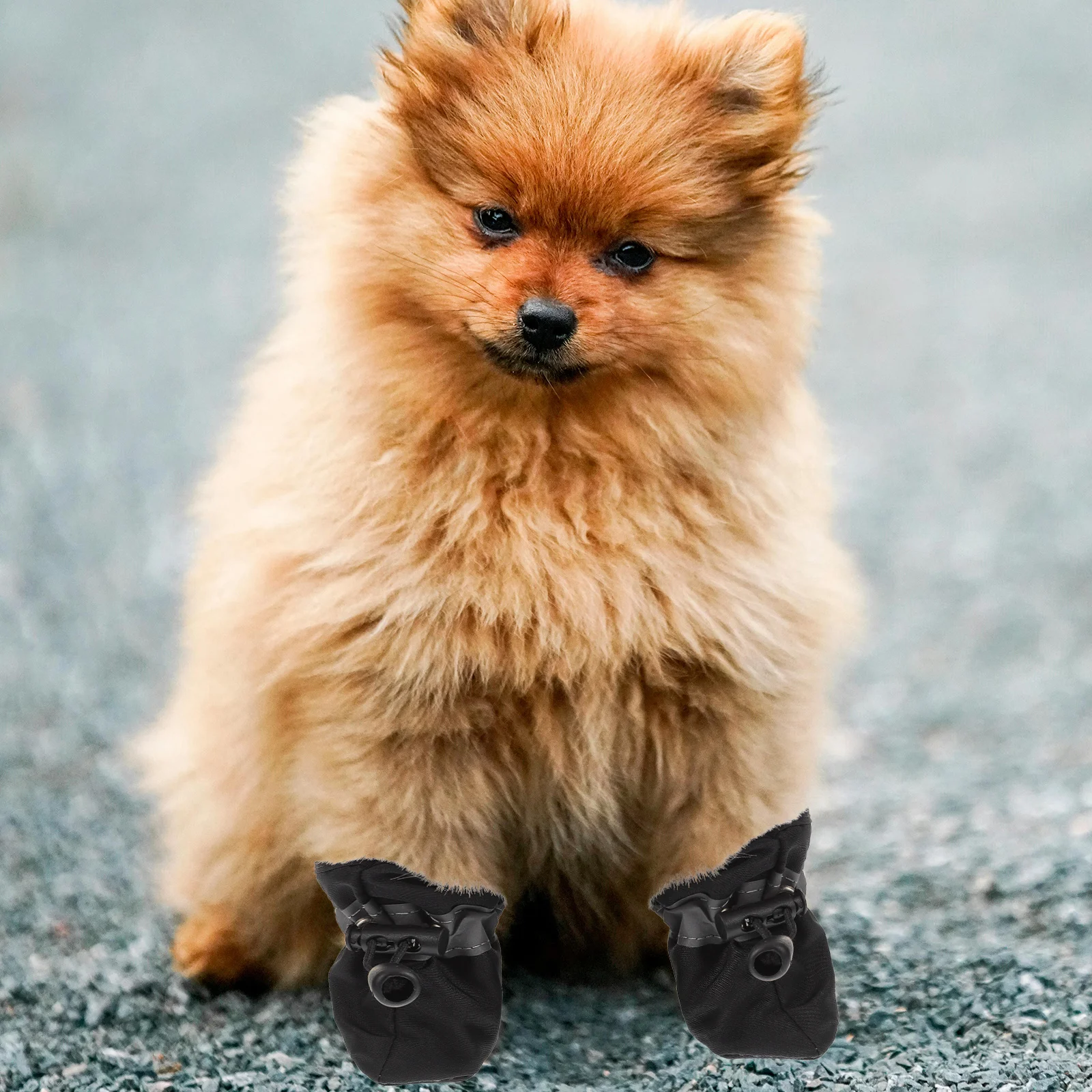 

4Pcs Drawstring Dog Shoes Convenient Non-Slip Pet Booties Protective for Indoor Floors Puppy Shoes Medium Size