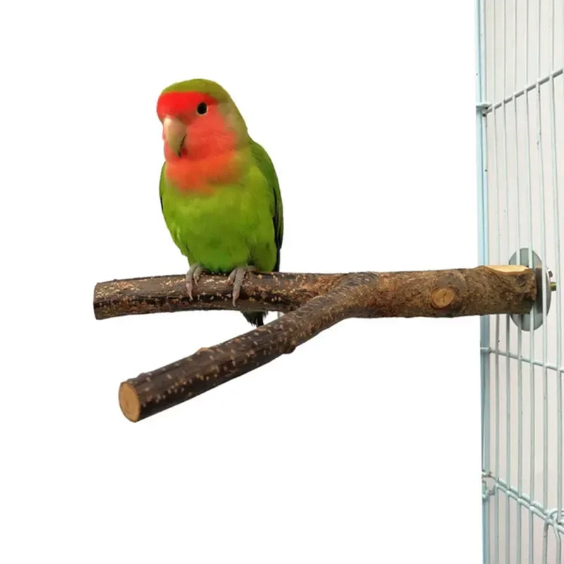 Natural Wood Pet Parrot Raw Wood Fork Tree Branch Stand Rack Squirrel Bird Hamster Branch Perches Chew Bite Toys Stick Supplies