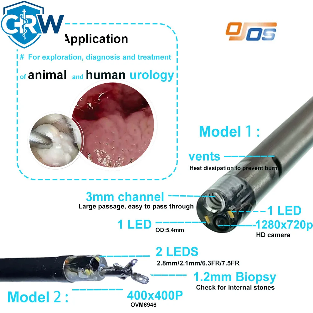 CRW Semi Flexible Rigid Hysteroscope Ureteroscope Usb Connector Micro Tech Endoscopy Accessories Processor   Dog Kidney St