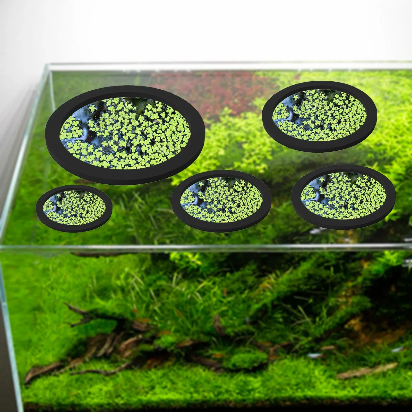 Anillo de alimentación de peces EVA, planta flotante para acuario, flotador para pecera, barrera para plantas, accesorios para estanque de acuario, anillo para plantas, 3 uds.