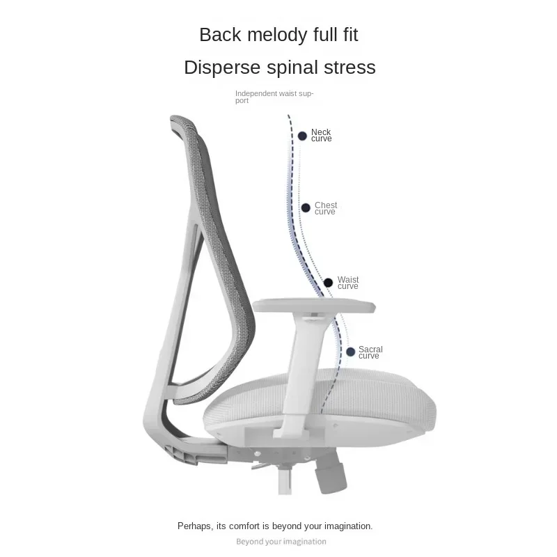 Sedia ergonomica per computer con braccioli regolabili e supporto lombare per ufficio domestico e studio