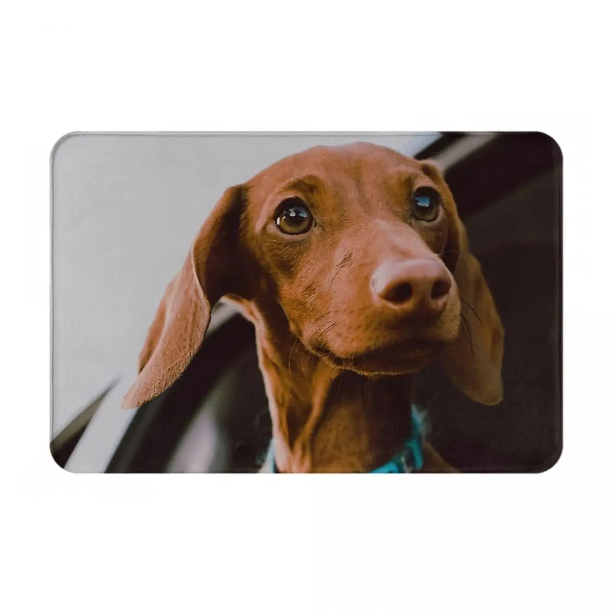 Dachshund Potret Foto Anjing dengan Keset Mobil Karpet Karpet Alas Kaki Keset Kamar Mandi Anti-selip Balkon Toilet Ruang Tamu Tahan Lama Dapat Dicuci