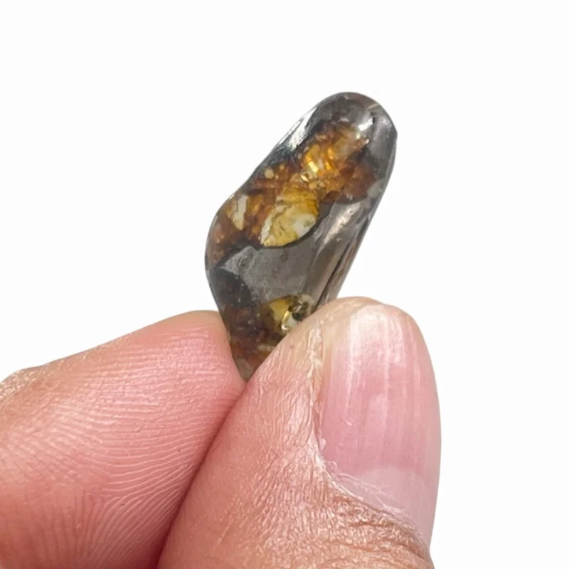 Seymchan Pallasite Meteorite Polished Freeform Specimen Natural Olivine Iron Meteorite Astronomy Collection -QC936