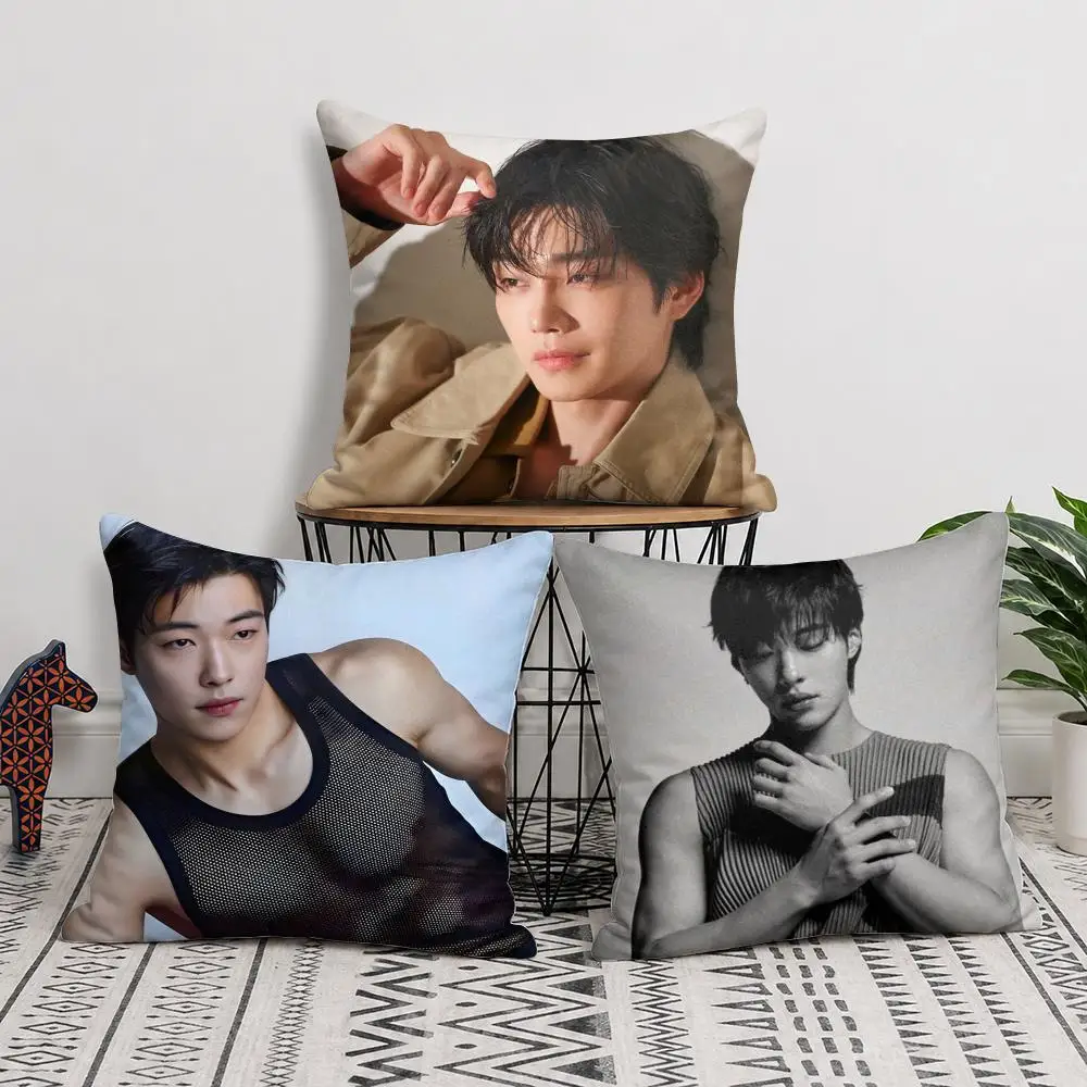 Actor W-Woo Do H-Hwan Cushion Cover Silky Short Plush Invisible Zipper Dustproof Sofa Pillow Case For Home Decor
