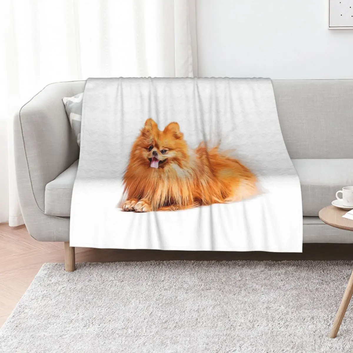Cute Red Pomeranian Throw Blanket christmas gifts Luxury Throw Single Plaid on the sofa Thins Comforter Blankets