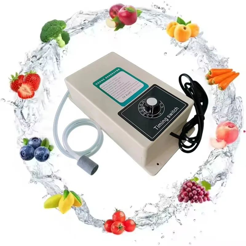 

2000mg Ozone Water Generator 200V/110V Household Ozonator for Kitchen Fruit Vegetable Meat Washer With Water Treatment Cleaning
