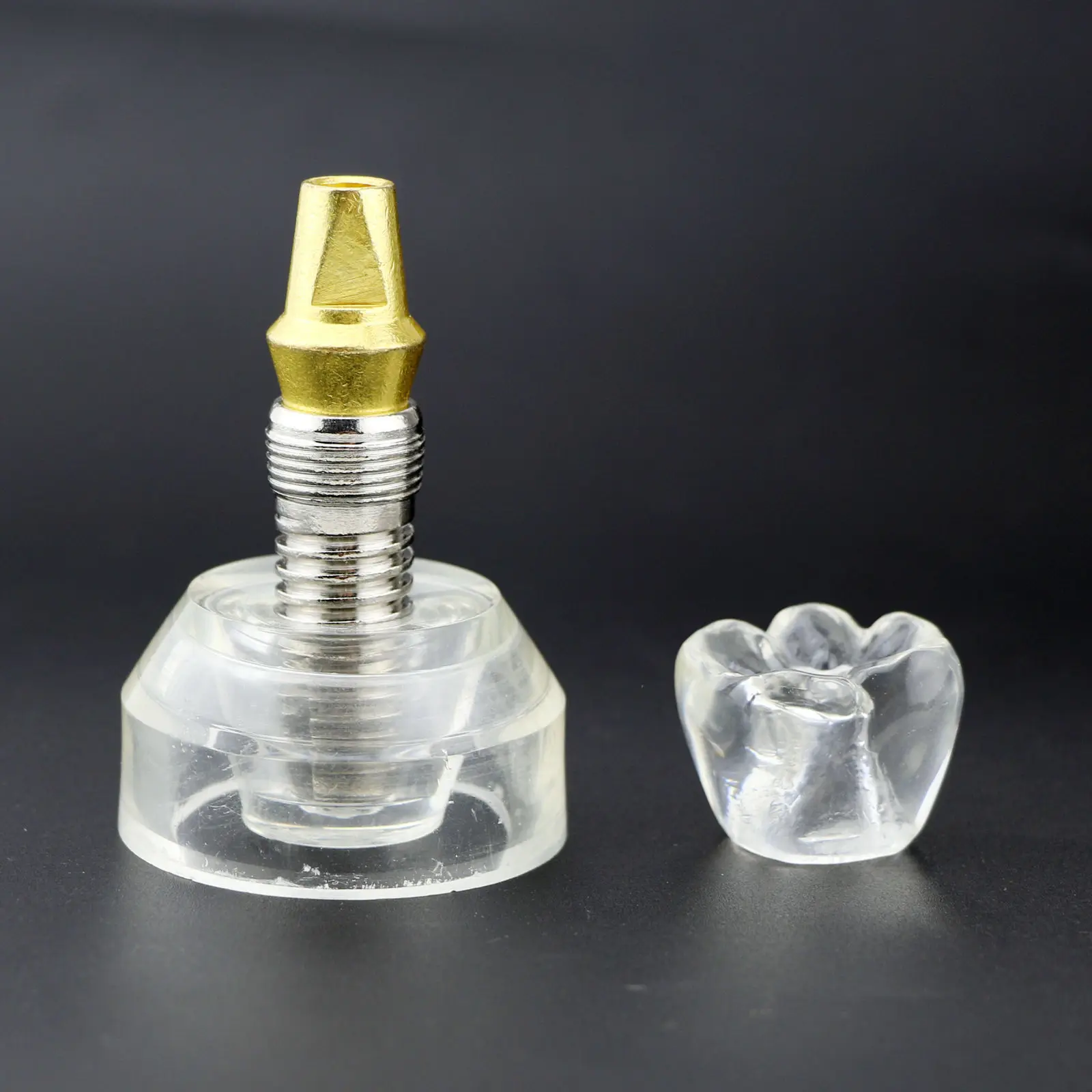 Dental Implant Model Teeth Teaching Crystal Crown Demonstration Removable Dentures Analysis Study Clear Dentistry Dentist