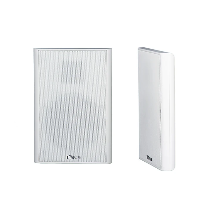 Thinuna XS-25 10W Public Address System Wall Mounted Speaker Two way Thin-bodied Flat Panel Speakers for Classroom