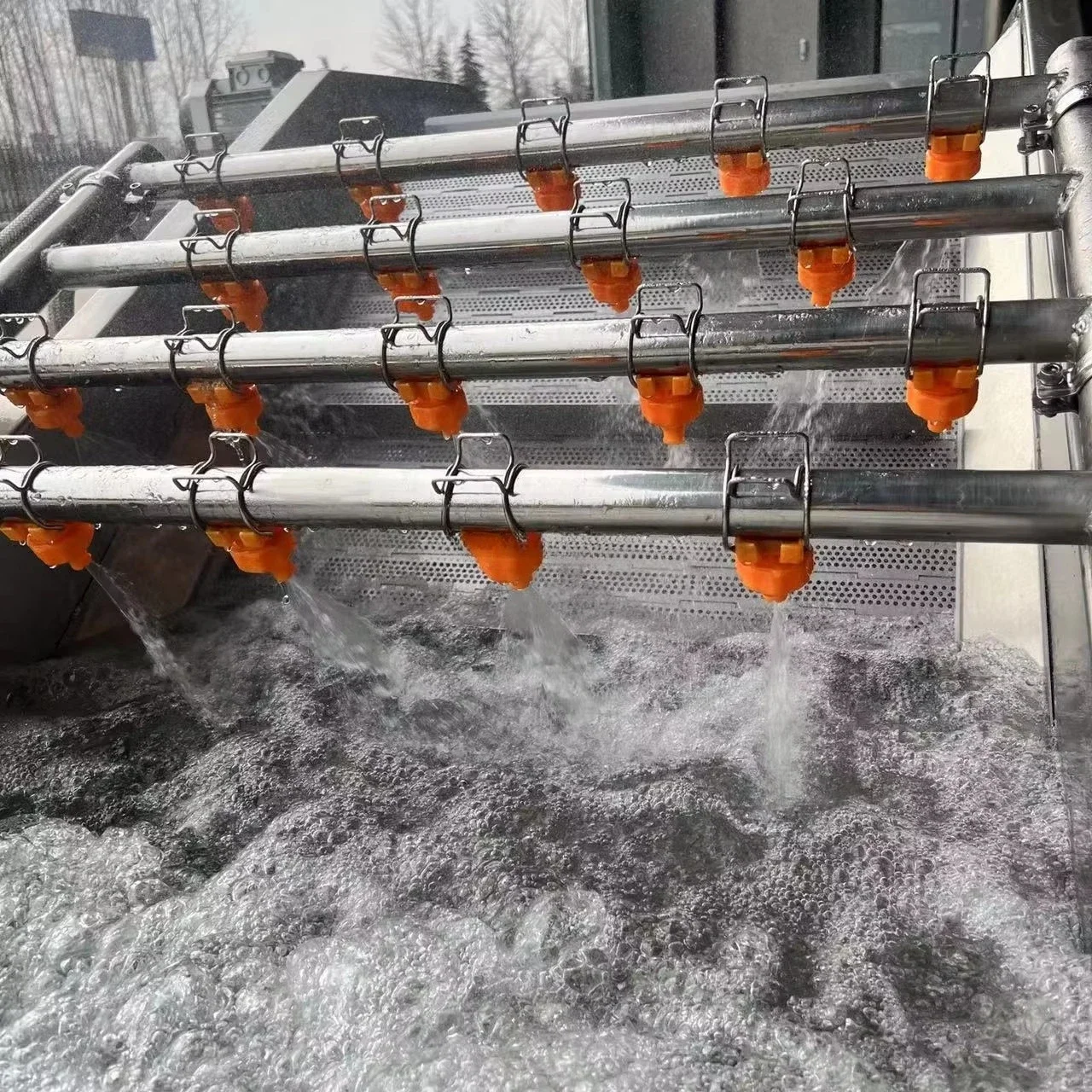 Qiangda Vegetable and Fruit Washer Bubble Washing Machine Rotary Fruit Vegetable Washing Machine