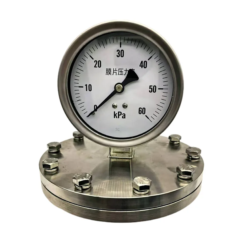 

Stainless Steel Pressure Gauge Diaphragm/diaphragm Box/diaphragm Pressure Gauge Pointer Oil-filled Seismic Pressure Gauge