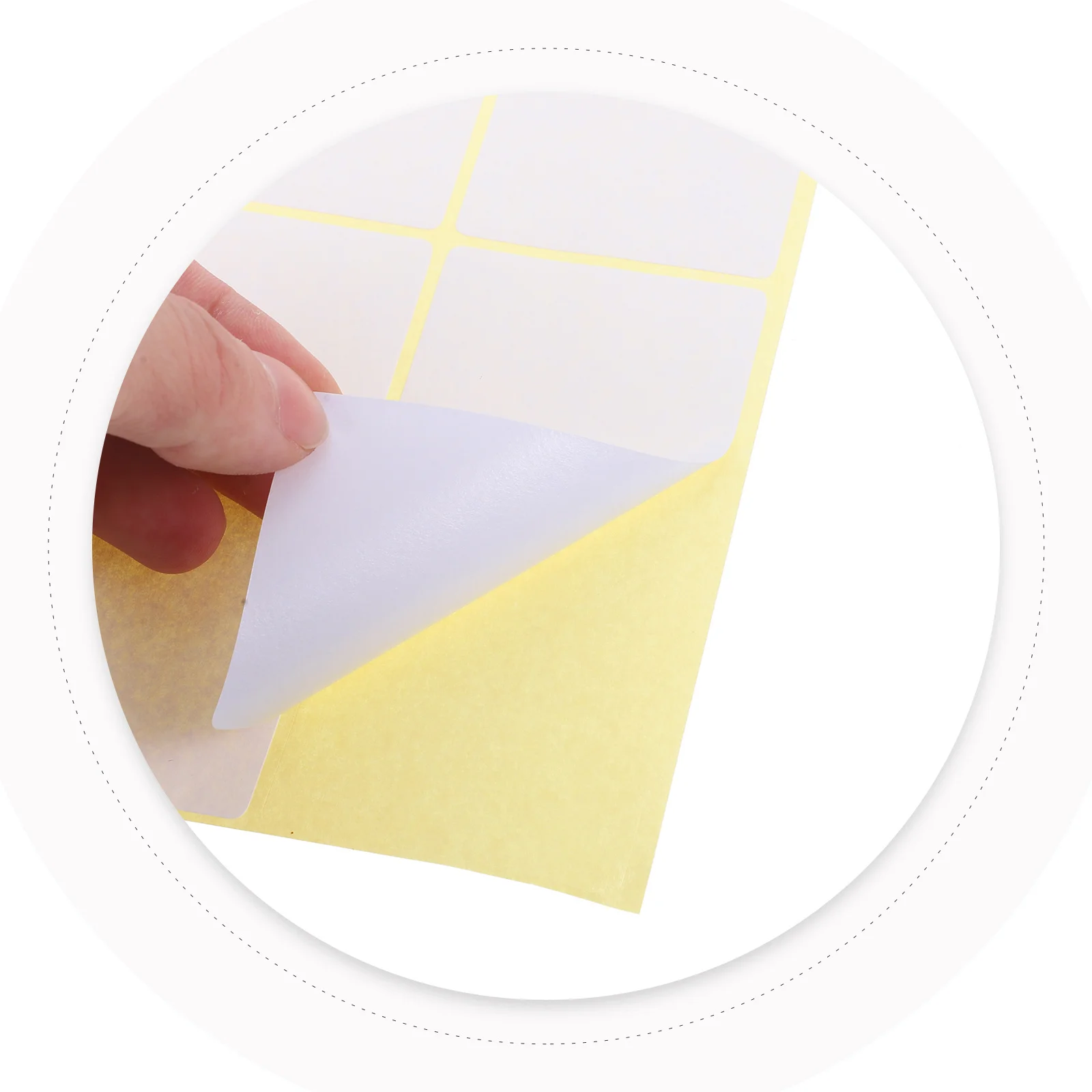 TEHAUX 180pcs Blank Adhesive Labels Stickers for Classification Sign Organizing Office School Supplies