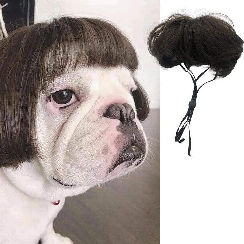 Topi rambut palsu rias silang anjing kucing lucu wig hewan peliharaan alat peraga Cosplay aksesoris kepala untuk Halloowen perlengkapan hewan natal