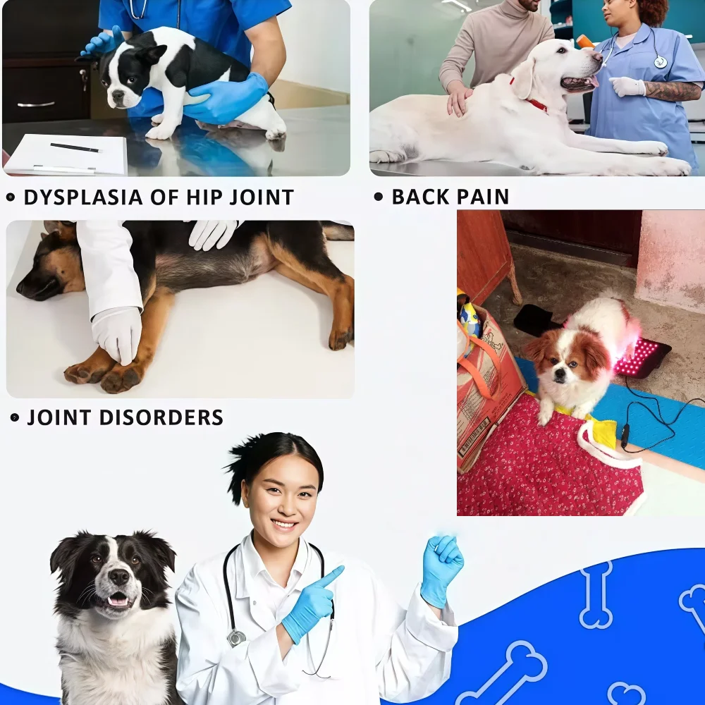 Veterinary Grade Cold Laser Therapy Device, Infrared Red Light Therapy Belt for Dog Joint and Muscle Pain Relief
