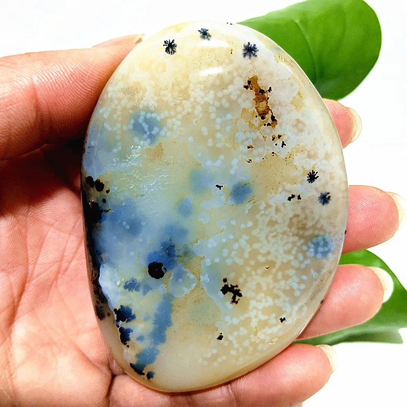 Natural Stone Waterplant Plant Agate Palm Stone Meditation Spiritual Yoga Cure Home Feng Shui Crystal Ornament