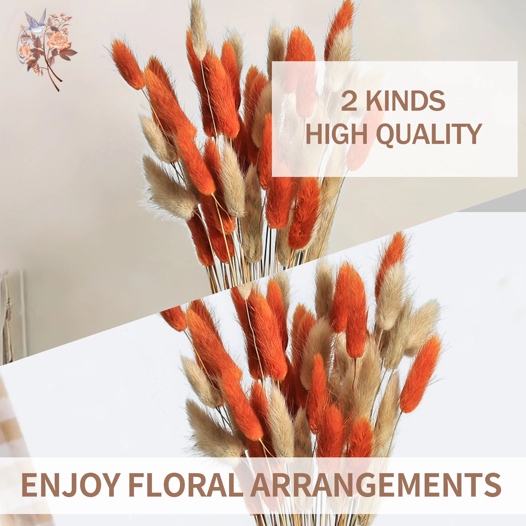 60 Stems Preserved Dried Bunny Tails Grass Flowers Bouquet Country Autumn Home Arrangement Mixed Colorful Rabbit Pampas Decor - Image 5