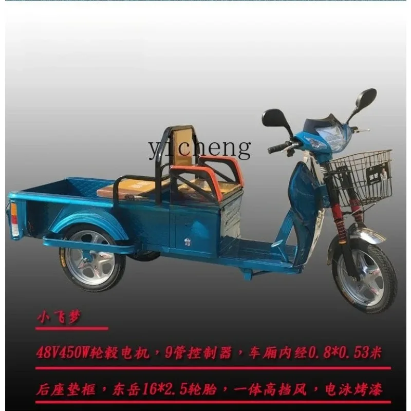 JX-1  Carport Express Pick Up Children Elderly Household Adult Electric Tricycle Small Electric Vehicle