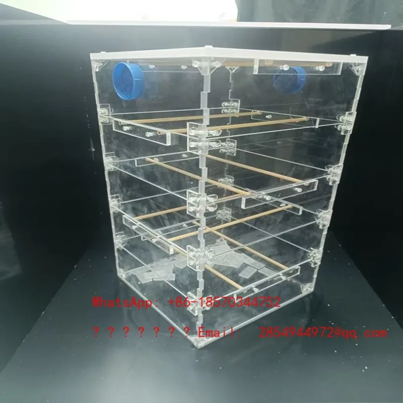 Transparent Acrylic Beehive Observation Artifact Easy Breeding Without Opening The Lid