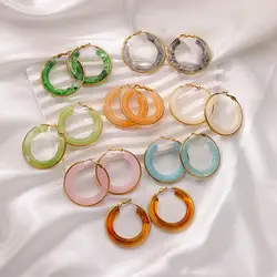Colored Acrylic Hoop Earrings for Women Aesthetic Stainless Steel Earrings 2024 Trend New in Vacation Style Piercing Ear Jewelry