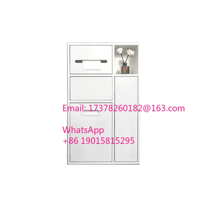 

Stainless steel toilet niche embedded toilet rack