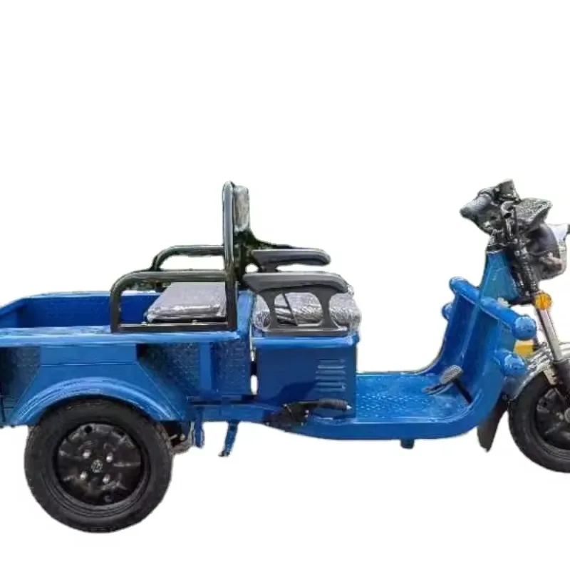 Heavy Duty Electric Cargo Tricycle 3 Wheeler High Load Capacity Long Range Lead Acid Battery Farm Logistics Delivery Transport