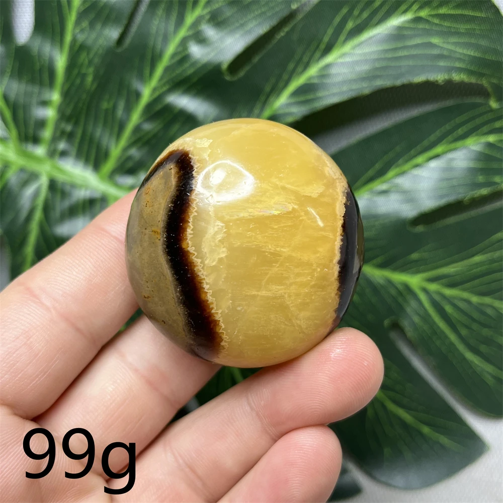 Natural Gem Septarium Turtle Shell Stone Palmstone Home Room Decoration Spiritual Meditation Witchcraft Altar Supplies Chakra