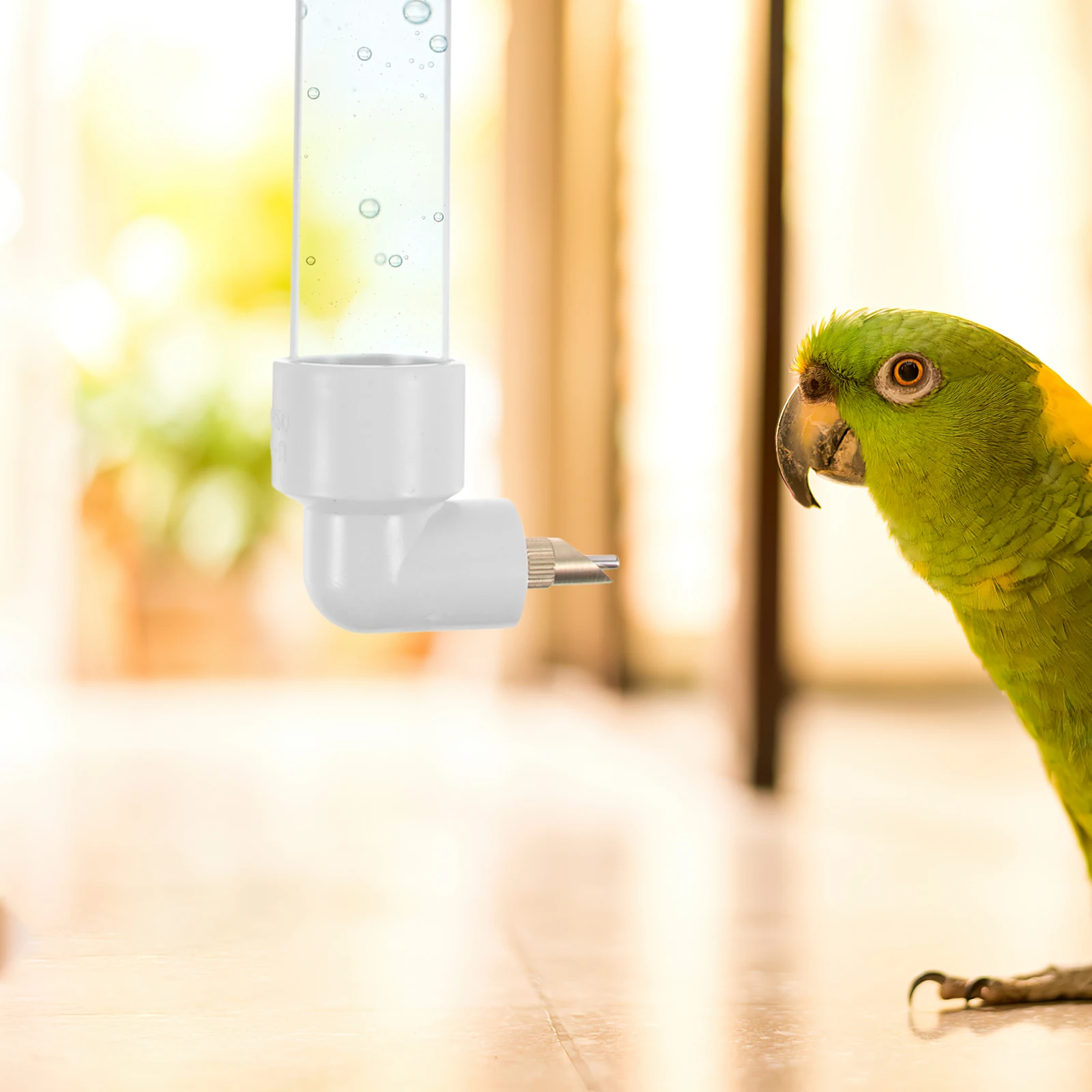 

NOLITOY 2 Sets Parrot Drinking Fountain Water Dispenser Plastic Pet Supplies