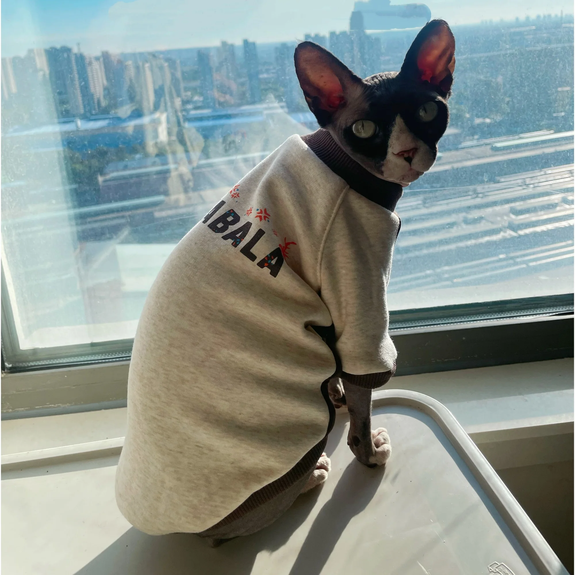 Fashion Grey Fleece Sweatshirt for Sphynx Cat in Winter Long-sleeved Warm Coat for Devon Rex Autumn Elestic Pajamas for Kittens