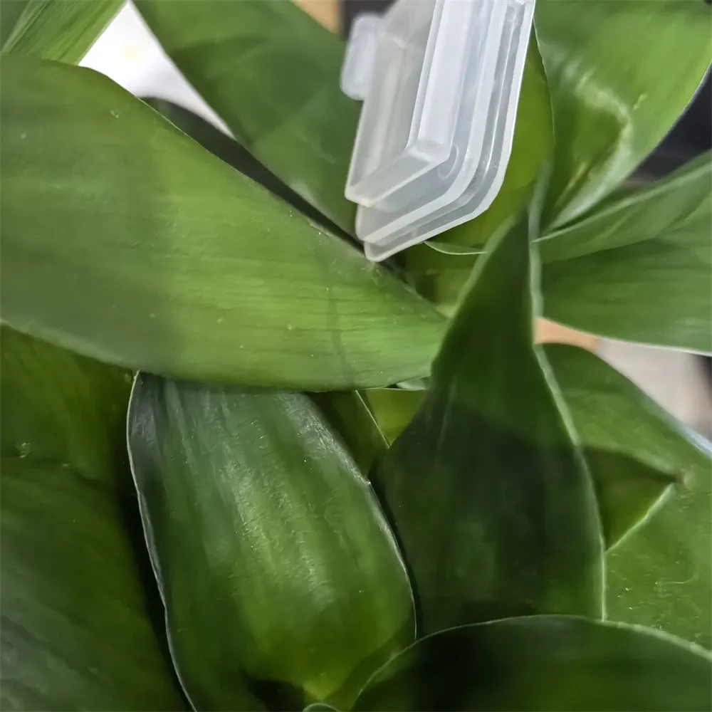 

10PCS DX5 DX4 big ink damper for EPSON DX5 DX7 XP600 TX800 4720 I3200 Mutoh Galaxy Xuli printer ink dumper filter