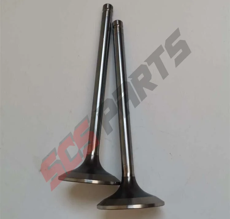 

2pcs 3696843 Exhaust Valve Fit Foton Cummins Diesel Engine ISG